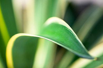 《杀死公主：原始剪辑版》全平台正式发售 添加中文支持